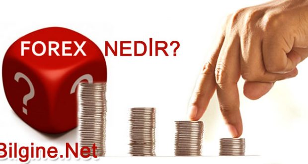 Forex oynayan