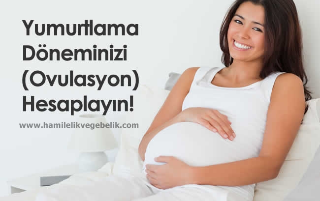 Hamilelik Şansını Arttıran Hesaplamalar