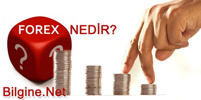 Forex Hakkında Bilgi – Forex Nedir?