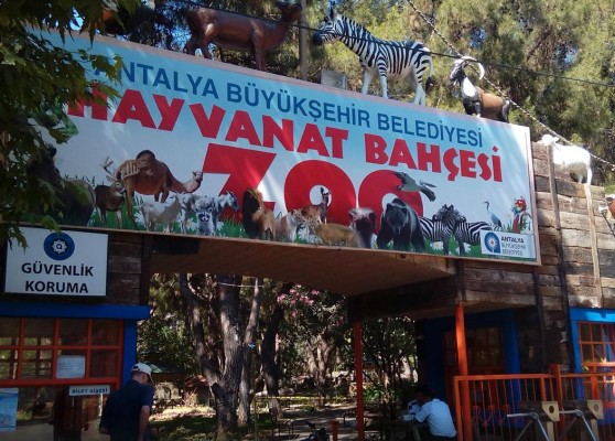 Antalya Hayvanat Bahçesi Hakkında Bilgi