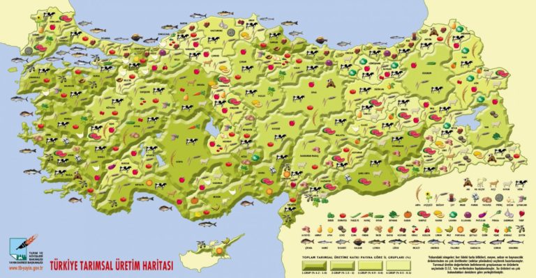 Marmara Bölgesinde Yetiştirilen Ürünler Nelerdir