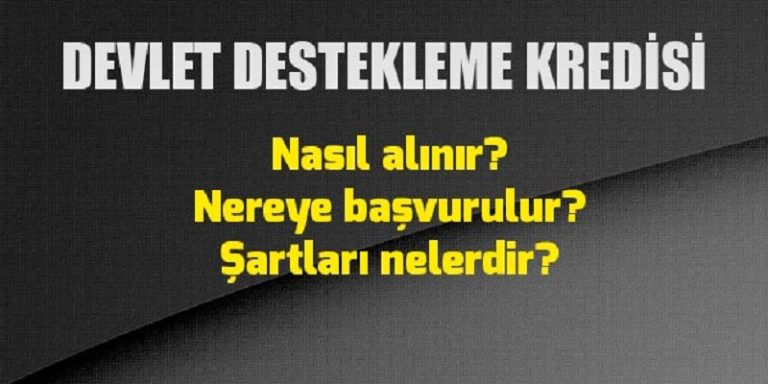 Devlet Destekleme Kredisi Nasıl Alınır?