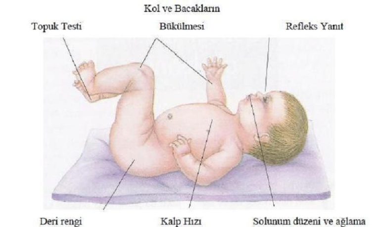 Yeni Doğan Bebeğin Fiziksel Özellikleri