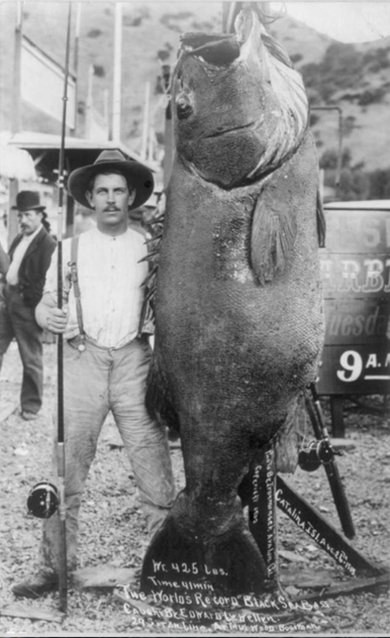 8. Edward Llewellen'in 1903 yılında yakaladığı levrek ile çektirdiği fotoğraf.